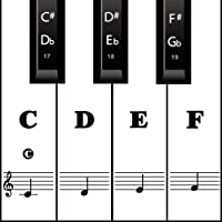 Pegatinas para teclado de piano para llave 88-61-54-49- color negro transparente extraíble para niños principiantes…